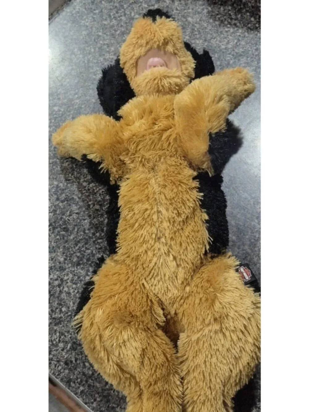 Harley Davidson Rottweiler Plush Studfed Animal Toy Dog 18
